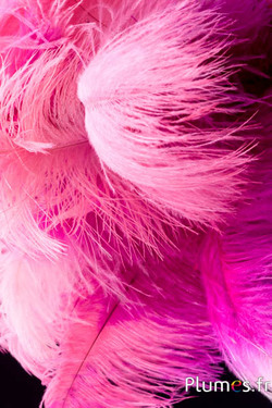 Autruche - 30-40 cm - fuchsia-rose ancien 
